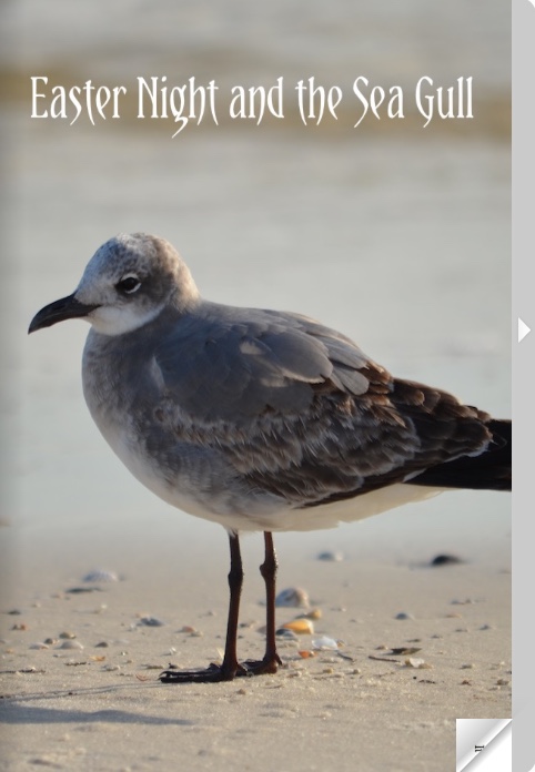 easter night and the sea gull